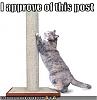 Click image for larger version

Name:	cats17.jpg
Views:	12
Size:	13.5 KB
ID:	12806