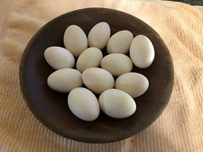 Duck Eggs, Fertile Eggs, 6 Eggs for Hatching picture