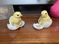 hatching baby chickens Vintage picture
